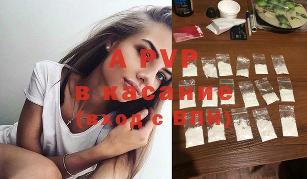 ECSTASY Богородицк